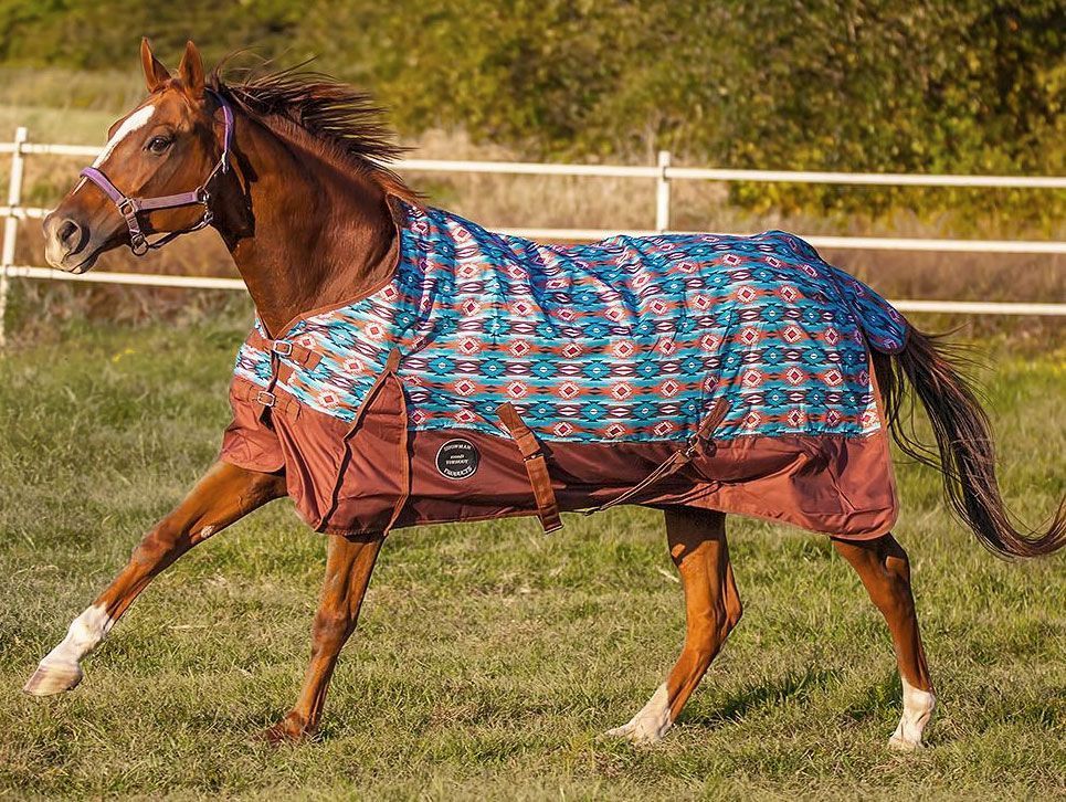 Horse Blanket Denier Chart