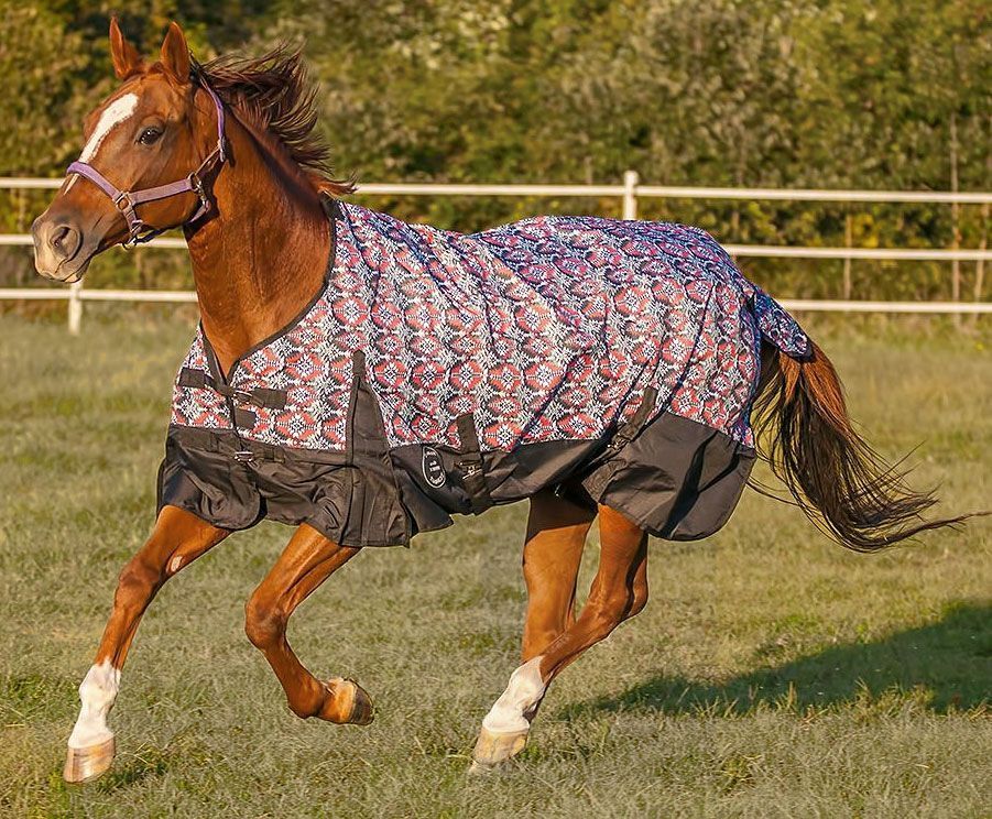 TGW RIDING 1200Denier Waterproof and Breathable Horse Sheet Horse Blanket Standard Neck Turnout Sheet