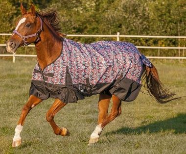 Horse Blanket Denier Chart