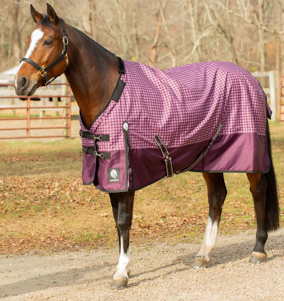 【美品】wjk TYPE A-1ジャケット shiny horse hl06 Equinavia Norse 600 Denier Waterproof Turnout Sheet: Chicks