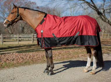 Equinavia Norse 600 Denier Mid-Weight Turnout Blanket - 200 Gram