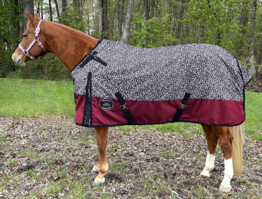 Saxon 1200 Denier Standard Neck Heavy Turnout Blanket