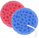 Tail Tamer Sponge On A Rope