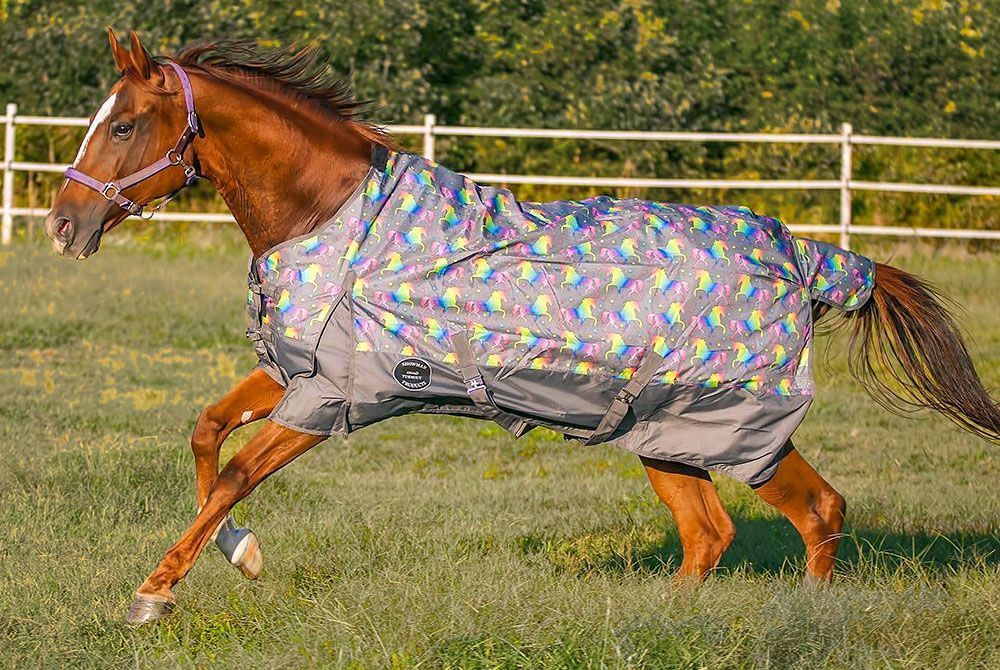Horse Blanket Fill Chart