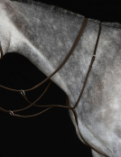 Collegiate Running Martingale IV