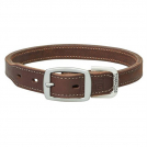 Terrain D.O.G. Oiled Harness Leather Hybrid Dog Collar - 1in