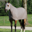 Weaver EquiSkinz Lycra Sheet - Leopard