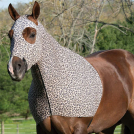 Weaver EquiSkinz Hood - Leopard