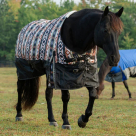 Weaver Premium Turnout Blanket, 600-denier - Trekking West